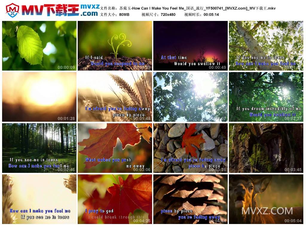 苏菀玉-How Can I Make You Feel Me_国语_流行_YF500741